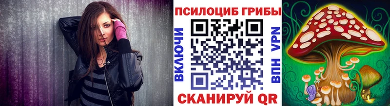 Купить закладки  Белёв  Галлюциногенные грибы Psilocybe 